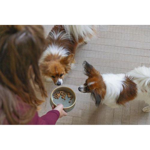 Beeztees DBL Köpek Mama Su Kabı, Seramik, Yeşil, 13,5cm, 500ml