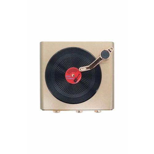 Metalik Nostaljik Tasarım Plak Çalar Görünümlü Radyolu Bluetooth Hoparlör Retro Müzik Plak