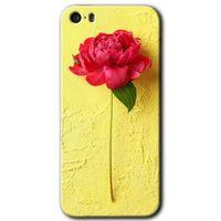 Potkal Hediye Fabrikası iPhone 5 HD Baskılı Kılıf + 9D Tam Ekran Koruyucu - Kırmızı Gül