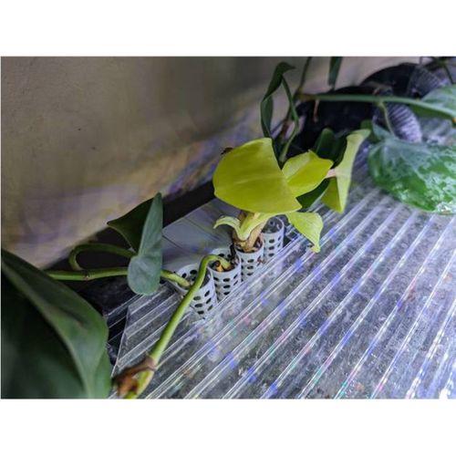 Akvaryum Kenar Bitki Tutucu 3D Baskı (Bu ürün Sadece Plastik parçadır - Almadan Önce Soru Sorabilirsiniz)