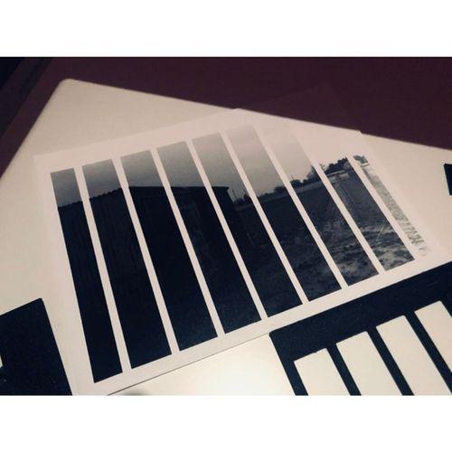 Karanlık Oda Test Şeridi Yapıcı Basit Hızlı 3D Baskı (Bu ürün Sadece Plastik parçadır - Almadan Önce Soru Sorabilirsiniz)