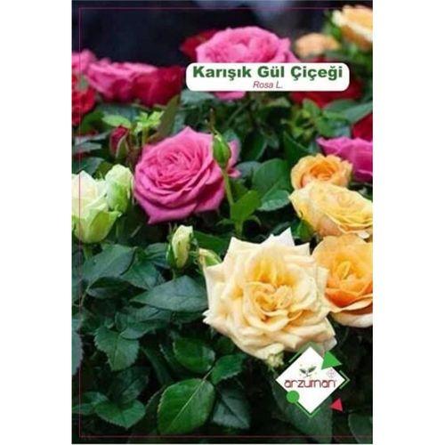 Arzuman Karışık Gül Çiçeği Tohumu (15 adet)