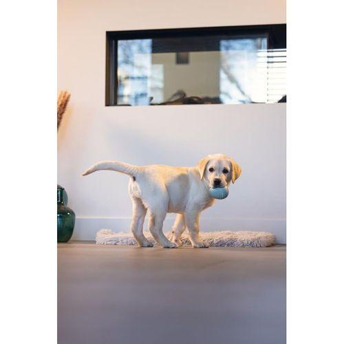 Beeztees Yavru Köpek Oyuncağı, Ödül ve Oyun, Yumurta, Kauçuk, Turkuaz, 6x6x8cm