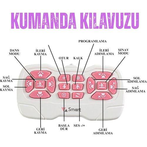 SH40194 U/K DANS EDEN ROBOT KEDİ