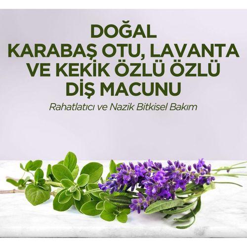 Eyüp Sabri Tuncer Eyüp Sabri Tuncer Doğal Diş Macunu 90gr Karabaş Otu & Lavanta ve Kekik Özlü