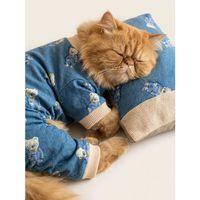 Teddy Blues Uyku Takımı | Ayıcık Desenli Pamuklu Penye Kedi Tulumu ve Mini Yastık