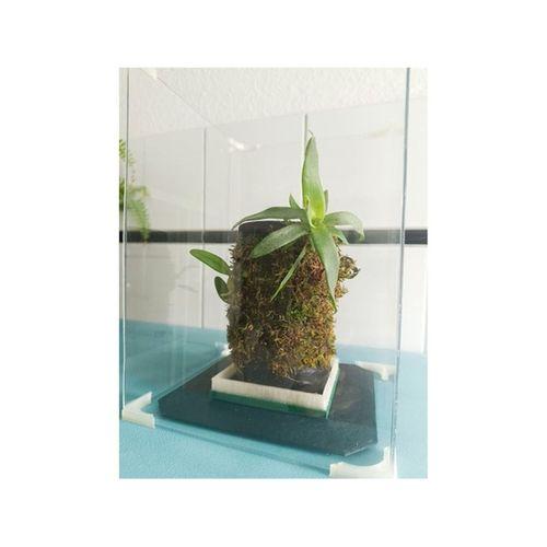 Terra Base S M Saksı (Bu ürün Sadece Plastik parçadır - Almadan Önce Soru Sorabilirsiniz)