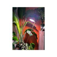 Stem Işık Adaptörü