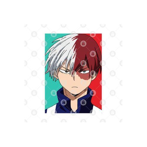 Shoto Todoroki Kupa