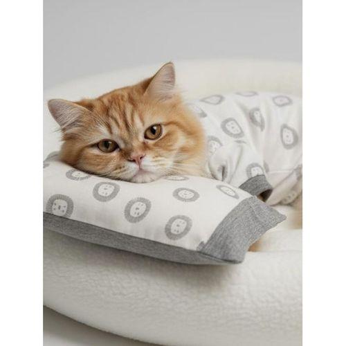 Soft Lion Kedi Uyku Seti | Penye Kedi Tulum ve Mini Yastık Takımı | Pamuklu | Tüy Dökülmesini Azaltır |