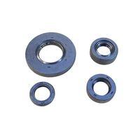 TVS Tvs Apache Rtr 200 Keçe Seti 4 Lü N9325440 Orj