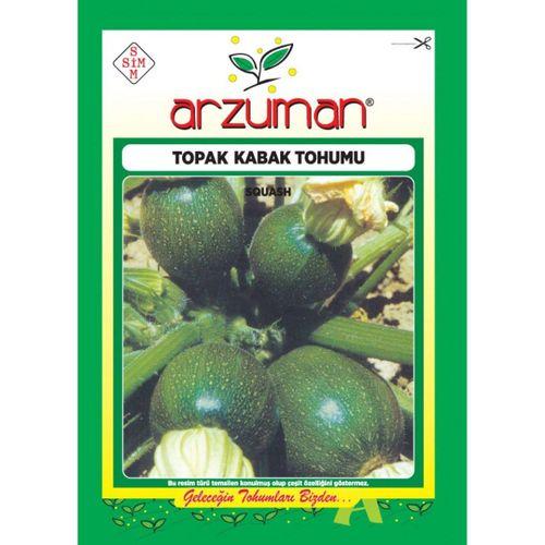 Topak Kabak Tohumu (10 Gr) Siyah Renk