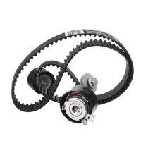 DAYCO Triger Seti 130C17529R MEGAN I II CLIO II SCENIC II LAGUNA LOGAN