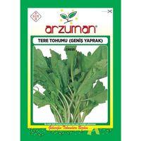 Tere Tohumu (10 Gr) Geniş Yapraklı Tere