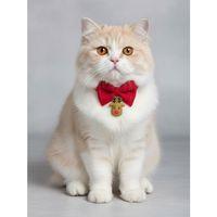 Yılbaşı Geyiği Kedi Papyon Tasması | Kırmızı Fiyonk Boyun Aksesuarı | Noel Temalı Kedi Süsü