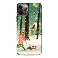 Apple iPhone 12 Pro Kılıf Snowix (39) Liquid Crystal Kılıf Karışık Renkli