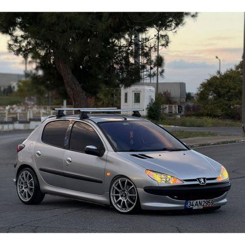 Coil-Ex Peugeot Uyumlu 206 06.1999-Sonrası Spor Yay 45 Mm