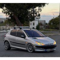 Coil-Ex Peugeot Uyumlu 206 06.1999-Sonrası Spor Yay 45 Mm