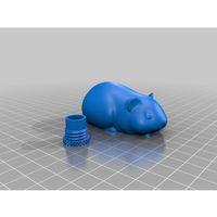 Guinea Pig Geocache (Bu ürün Sadece Plastik parçadır - Almadan Önce Soru Sorabilirsiniz)