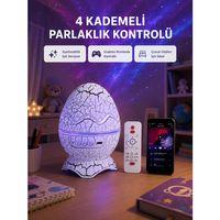 Galaksi Efektli Dinozor Yumurta Projektör – Yüksek Çözünürlüklü