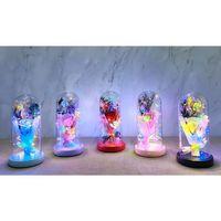 Işıklı Müzikli Cam Fanus İçinde Lavantalı Romantik Gül