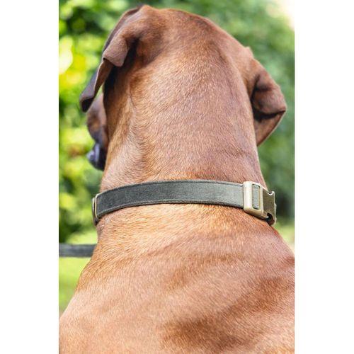 Beeztees DBL Köpek Tasması, Kadife, Nefti, 48-70cm, 25mm