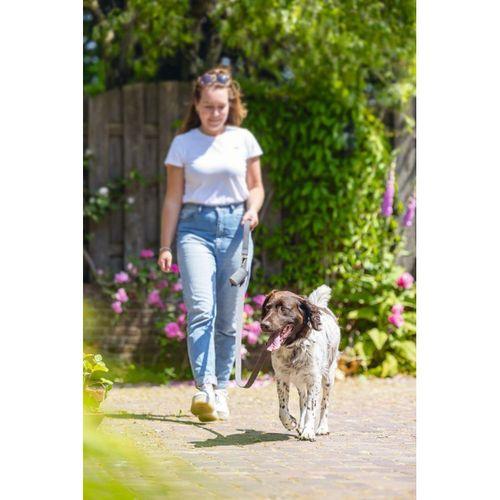 Beeztees Köpek Dışkı Toplama Poşeti Taşıma Çantası, Gri, 8x5x5cm