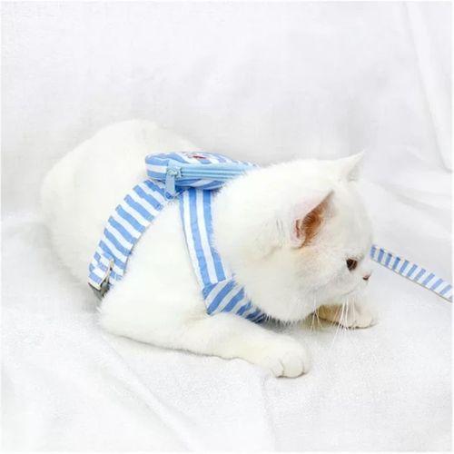 Evcil Hayvan Çantalı Göğüs Gezdirme Tasması Seti