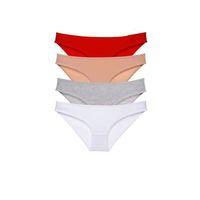 4 Adet Süper Eko Set Likralı Kadın Slip Külot 531