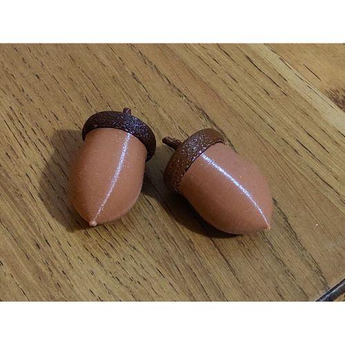 Acorn Geocache - 5137053