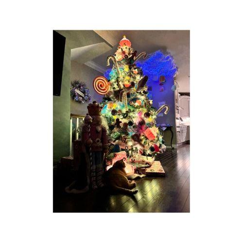 - Cupcake Noel Ağacı Üstü (Bu ürün Sadece Plastik parçadır - Almadan Önce Soru Sorabilirsiniz)