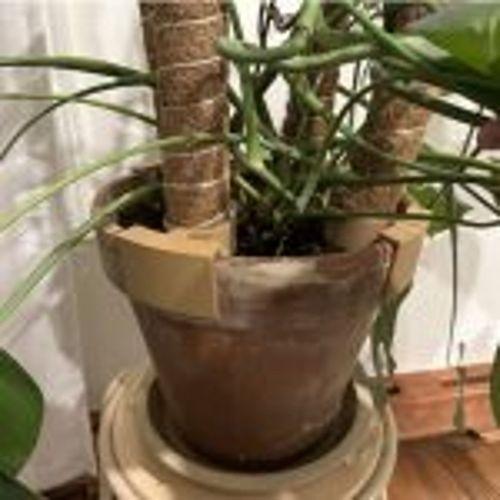 Monstera Bitki Saksıları İçin Moss Pole Destek (Bu ürün Sadece Plastik parçadır - Almadan Önce Soru Sorabilirsiniz)