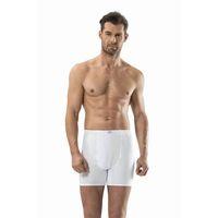 Erkek Beyaz Boxer - 102