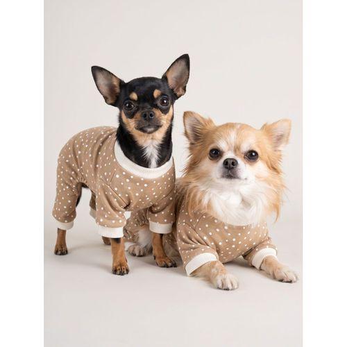 Latte Sprinkles Köpek Tulumu | Pamuklu Penye Köpek Pijaması | Küçük Irklar İçin | Tüy Dökülmesini Azaltır