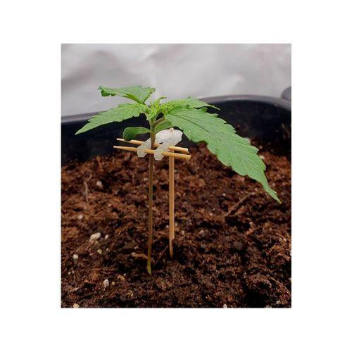 3D Baskı Bitki Destek Aparatı (Bu ürün Sadece Plastik parçadır - Almadan Önce Soru Sorabilirsiniz)