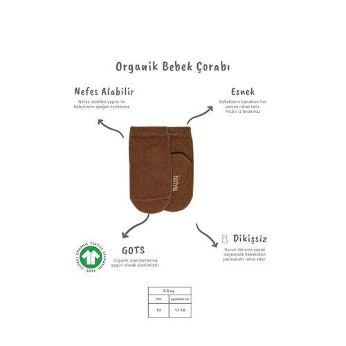 Bistyle 5'li Penye Soket Kutulu Basic Çorap 10131 Bej