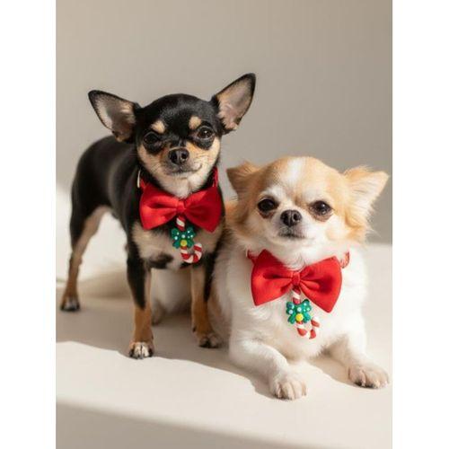 Christmas Candy Yılbaşı Köpek Papyon Tasması | Kırmızı Fiyonk Boyun Aksesuarı | Noel Temalı Köpek Süsü