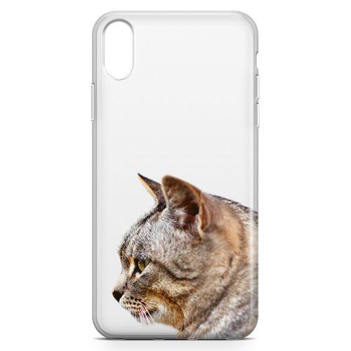 Apple iPhone XR Kılıf Siberian Cat Arka Kapak Koruma Desenli Full Koruyucu