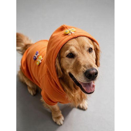 Mariposa Orange Hoodie | Kelebek Detaylı İnce Polar Orta Ve Büyük Irk Köpek Sweatshirt