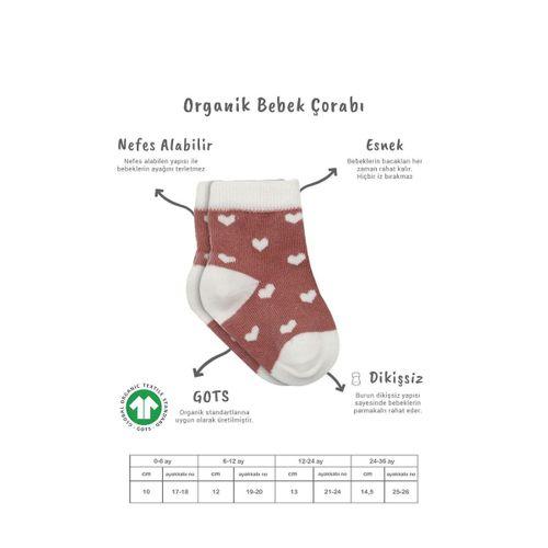 Bistyle Bistyle 3'Lü Penye Cute Stars Soket Çorap BS10115 Pudra