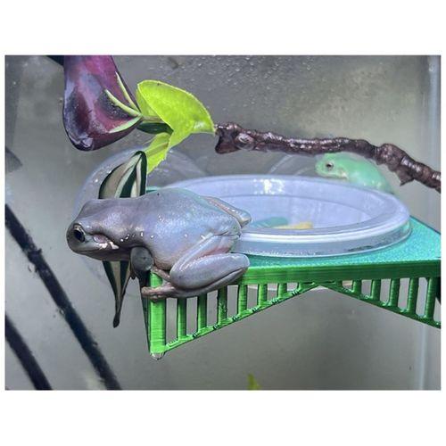 3D baskı kaçış önleyici hayvan yemliği platformu (Bu ürün Sadece Plastik parçadır - Almadan Önce Soru Sorabilirsiniz)