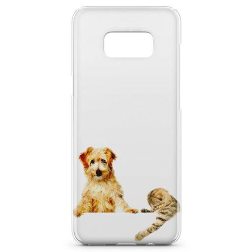 Samsung Galaxy S8 Kılıf Avustralya Terrier Arka Kapak Koruma Desenli Full Koruyucu