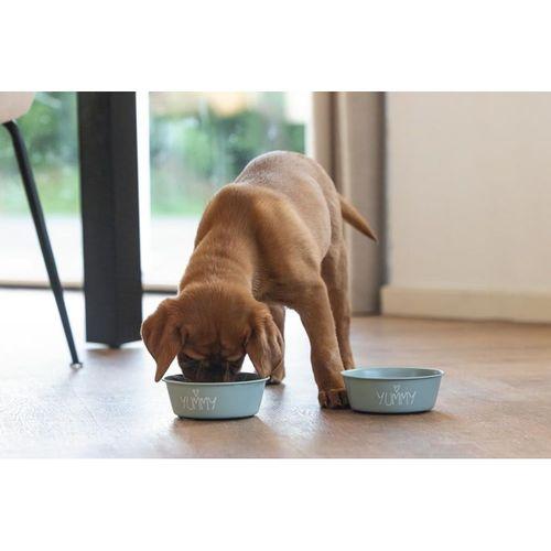 Beeztees Yavru Köpek Mama Su Kabı, Paslanmaz Çelik, Kaymaz Taban, Turkuaz, 13cm, 470ml