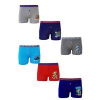 Dode Flora Tutku 0253 Erkek Çocuk Karışık Desenli Ekonomik 6 Lı Paçalı Boxer