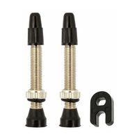 Tubeless Valf Seti Cobra 40mm Konik