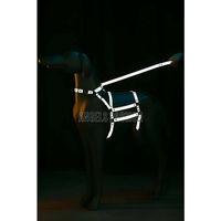Reflektörlü - Ayarlanabilir Köpek Harness - Köpek Gezdirme Aparatı - NPD007