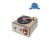 Metalik Nostaljik Tasarım Plak Çalar Görünümlü Radyolu Bluetooth Hoparlör Retro Müzik Plak