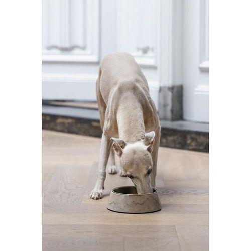 Beeztees DBL Köpek Mama Su Kabı, Mat Altın Rengi Paslanmaz Çelik, Bej Mermer Görünümlü, 17,5cm, 350m