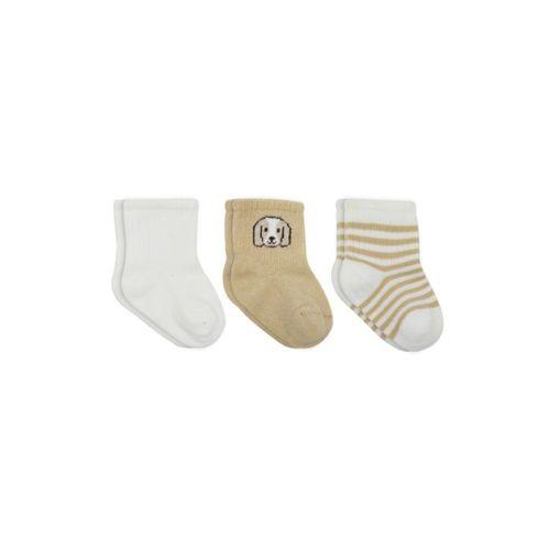 Bistyle Dog Boy 3'lü Penye Soket Çorap 10134 Ekru