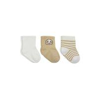 Bistyle Dog Boy 3'lü Penye Soket Çorap 10134 Ekru